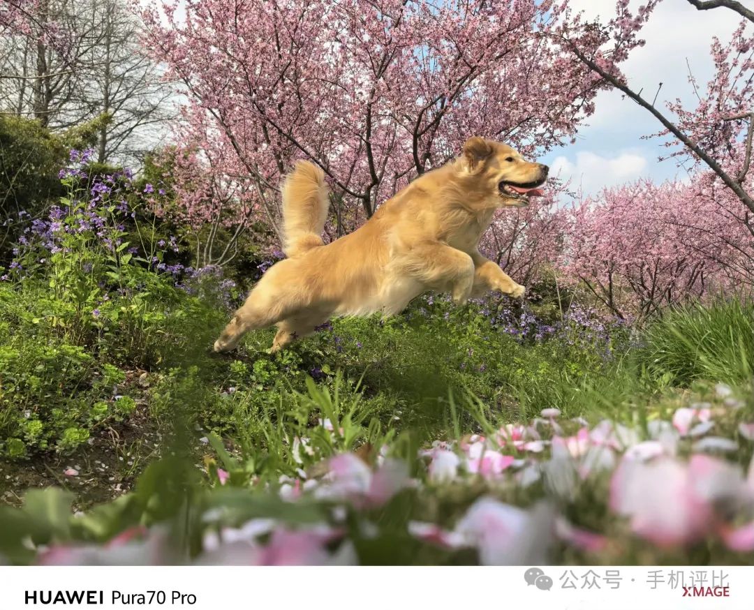 华为Pura系列：智能与美学的完美结合_华为Pura系列：智能与美学的完美结合_华为Pura系列：智能与美学的完美结合