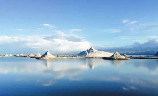 新能源汽车的发展与市场的不确定性分析_分析目前汽车能源的现状_新能源汽车可行性分析