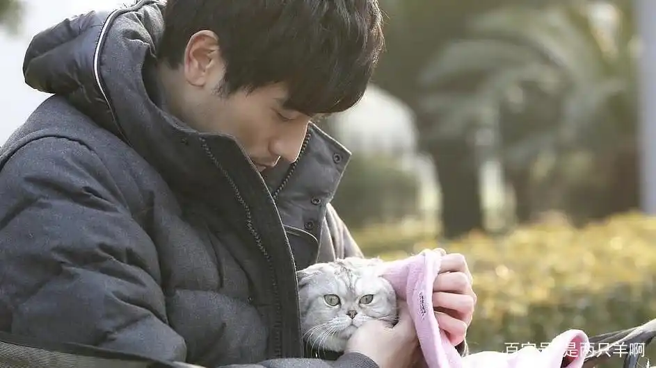 高以翔演的遇见王沥川_高以翔电视剧遇见王沥川_高以翔（Gao Yixiang） - 知名于《遇见王沥川》和《女儿们的恋爱》。