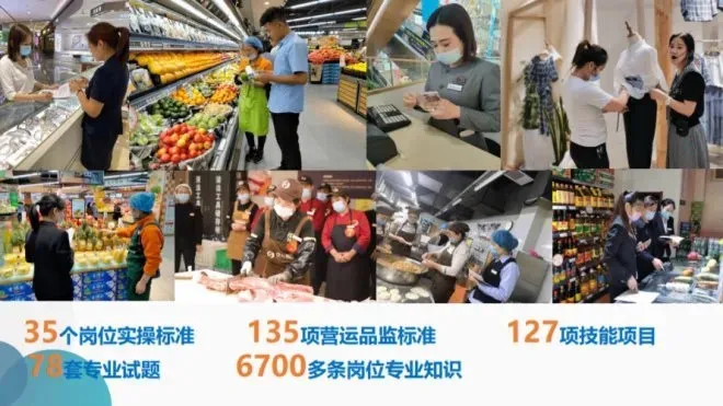 舞东风供应管理链系统_了解胖东来的供应链管理流程与策略_上海胖猫链享科技