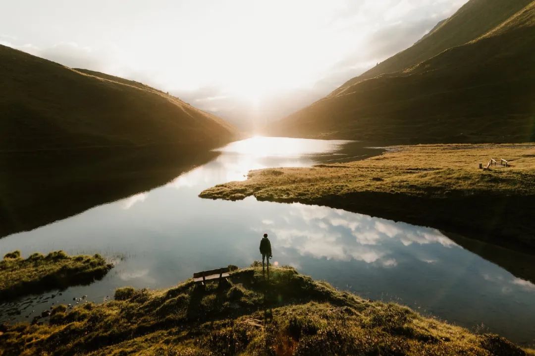 了解胖东来的供应链管理流程与策略_胖东来管理理念_上海胖猫链享科技