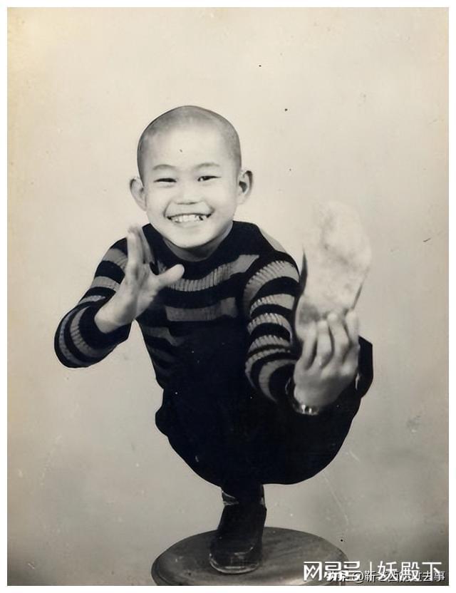 李小龙与其他武打明星的对比_李小龙对比明星武打视频_李小龙和谁比武过