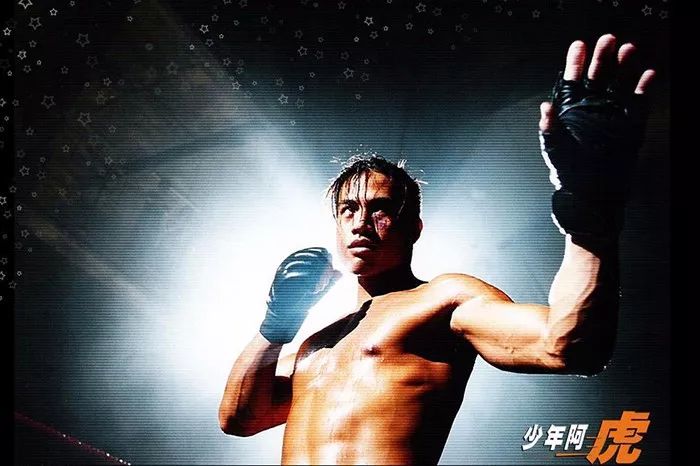 李连杰的影视评价与观众反响_评价李连杰视频_李连杰电影影响力