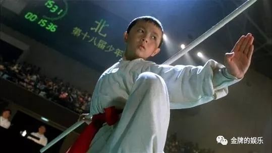 反响李连杰影视观众评价的电影_评价李连杰视频_李连杰的影视评价与观众反响