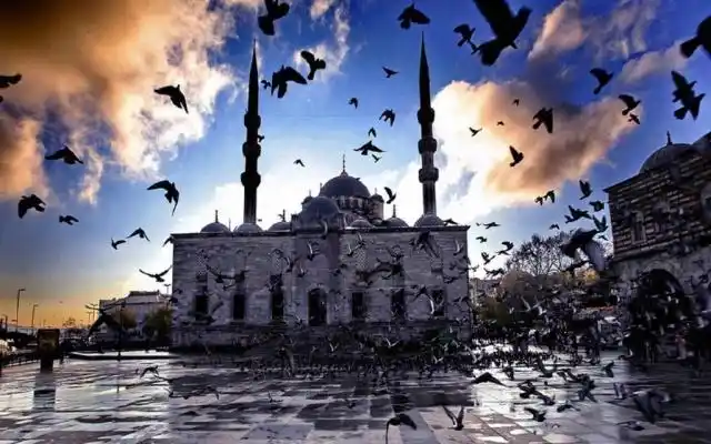 币分叉前后表现_币分叉_数字货币的分叉与其影响