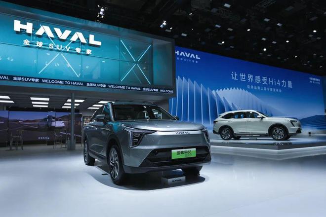 辉煌汽车服务有限公司_新能源汽车的一时辉煌与未来的不确定性_辉煌汽车项目