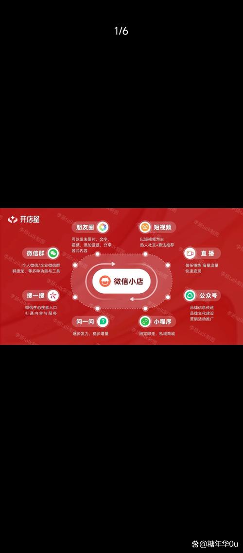 如何通过tpwallet官方版持续参与社区活动，获得更多投资知识？_社区app官方_社区平台网