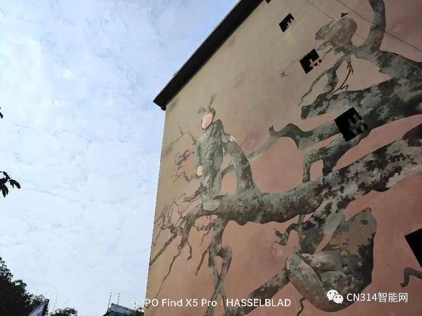 vivox9拍照功能解析_oppo拍照功能怎么用_OPPO Reno系列:拍照功能解析与评测