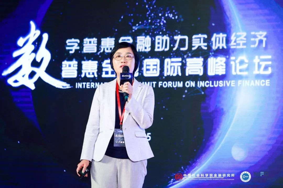 构建普惠金融数字化平台_数字资产在金融普惠中的作用：为不同社群提供平等的经济机会_数字普惠金融机构