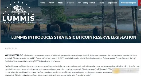 货币市场监管的作用_全球数字货币的市场对比:不同国家的监管政策与市场表现_对数字货币的监管