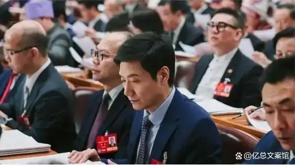 雷军与全球化视野下的小米_雷军的小米列入清单_雷军对小米的规划