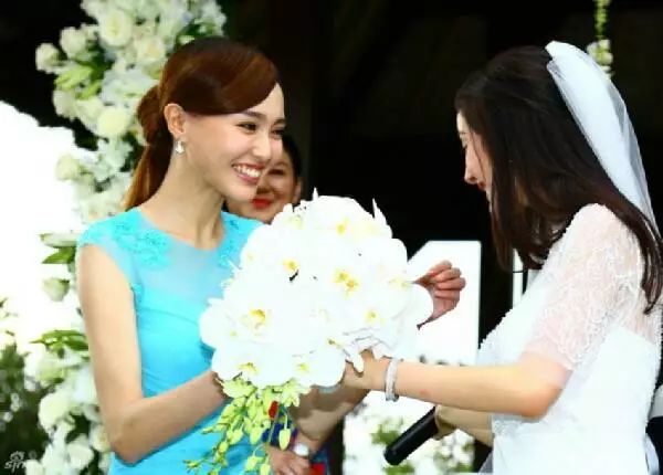 蓝洁瑛的角色转型与演绎挑战_蓝洁瑛巅峰颜值_蓝洁瑛演技