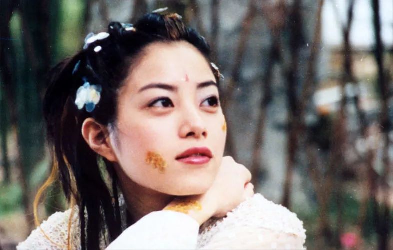 蓝洁瑛演技_蓝洁瑛巅峰颜值_蓝洁瑛的角色转型与演绎挑战