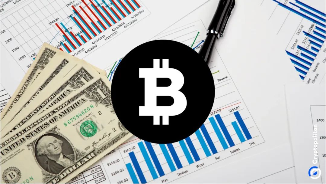 比特币以太坊的未来价值_从比特币到以太坊:最新数字货币项目的市场表现与前景分析_比特币以太坊最新资讯