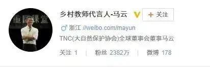 阿里巴巴的社会影响与马云的愿景_马云对阿里巴巴的企业文化影响_马云对阿里巴巴的愿景