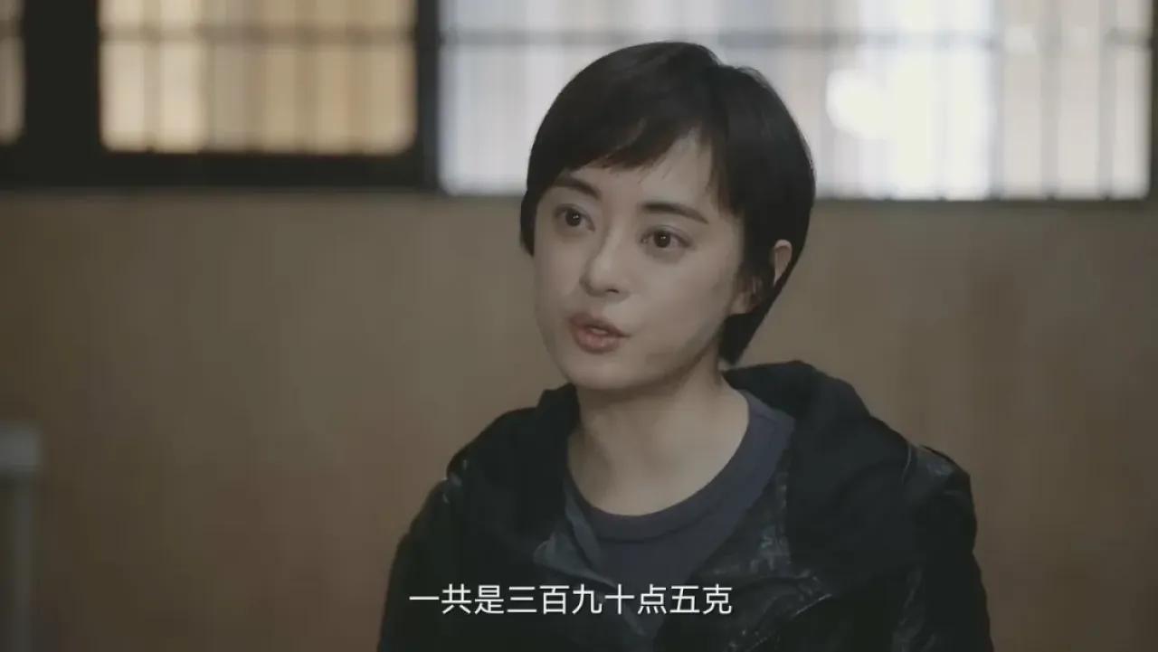 钱枫孙俪_孙俪_孙俪主演《美好的人生》