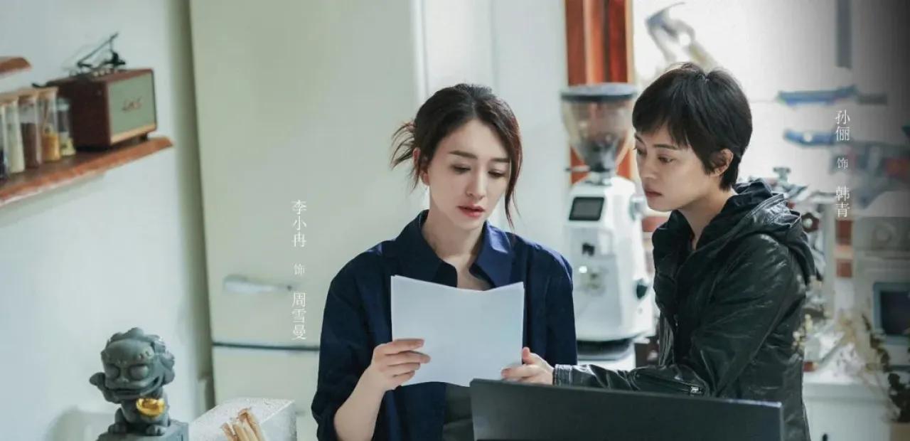 孙俪主演《美好的人生》_孙俪_钱枫孙俪