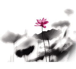 对话马化腾2019_社交时代的领军者：马化腾的故事_马化腾开发的聊天软件