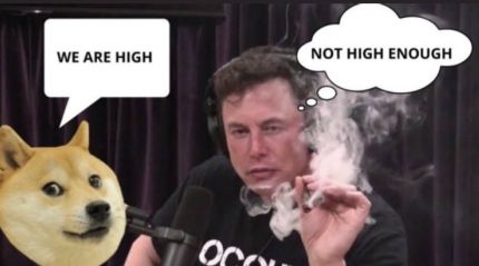 狗狗币操盘手_狗狗币与高频交易的关系:市场操控的可能性分析_谁在操控狗狗币