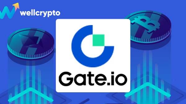 什么钱包可以存比特币的(比特币存储钱包)(903)