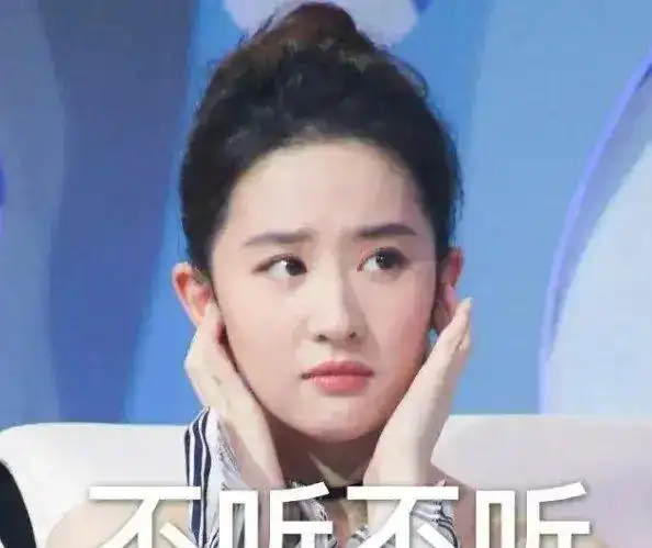 刘亦菲的新电影_刘亦菲与华语电影的未来_刘亦菲下一部电影