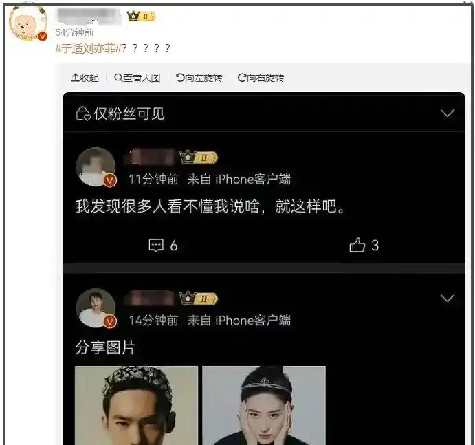 刘亦菲下一部电影_刘亦菲与华语电影的未来_刘亦菲的新电影