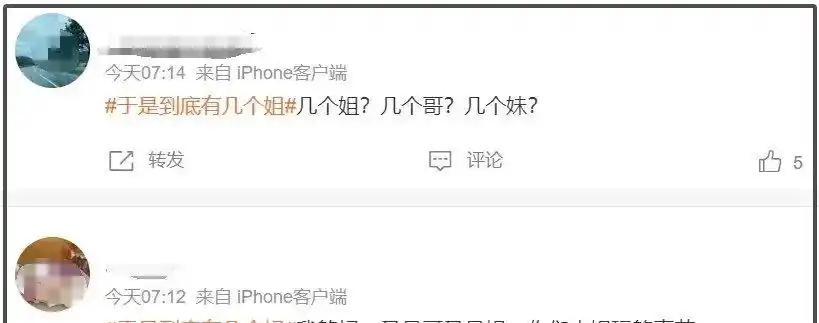 刘亦菲与华语电影的未来_刘亦菲的新电影_刘亦菲下一部电影