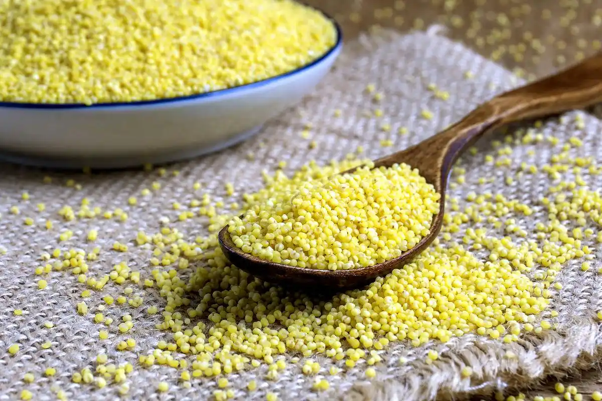 小米科技走下_小米未来科技手机_前沿设计:小米14与未来科技的结合