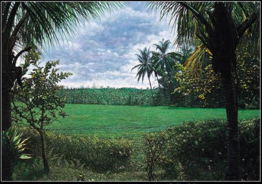 张柏芝的影视作品中的人生哲学_张柏芝的影视作品中的人生哲学_张柏芝的影视作品中的人生哲学