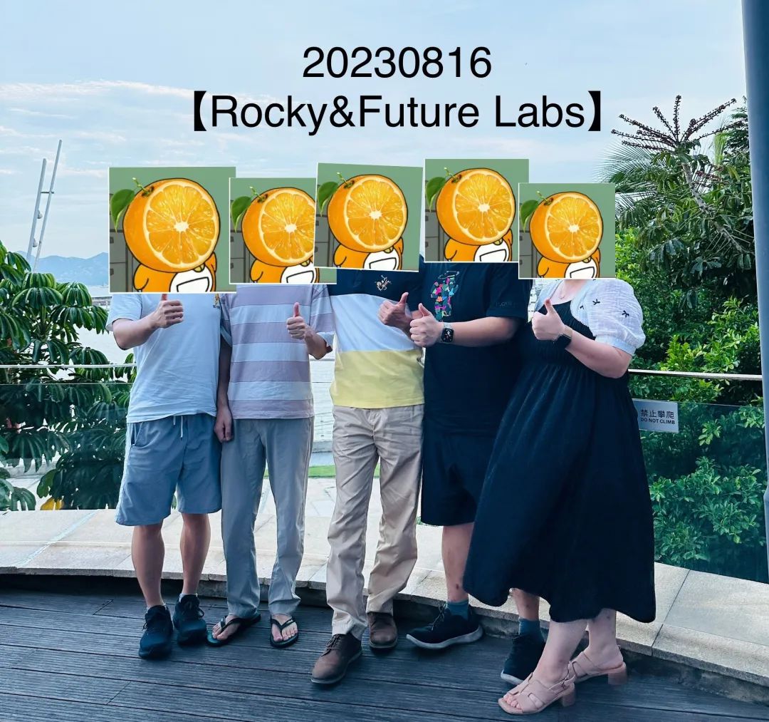 风险策略开拓_深入探讨USDT的风险管理策略_风险管理战略导向原则