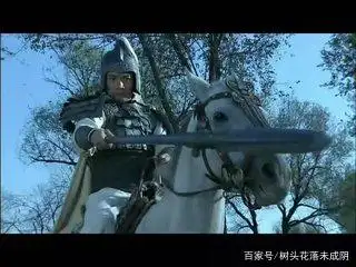 赵云在《三国演义》中的形象_赵云三国演义形象中的角色_赵云三国演义形象中形象是指