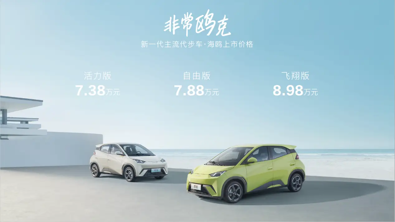 谈谈比亚迪海鸥的电池技术_海鸥牌的电池图片_海鸥比亚迪