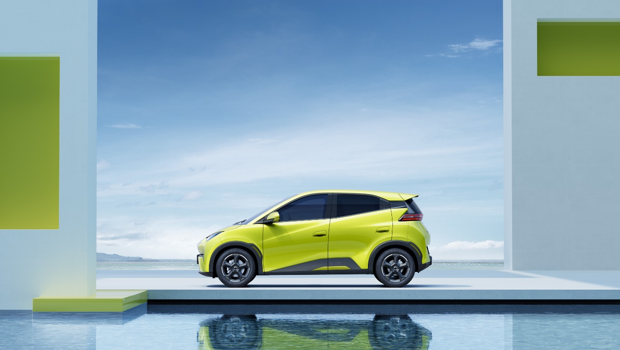 谈谈比亚迪海鸥的电池技术_海鸥牌的电池图片_海鸥比亚迪