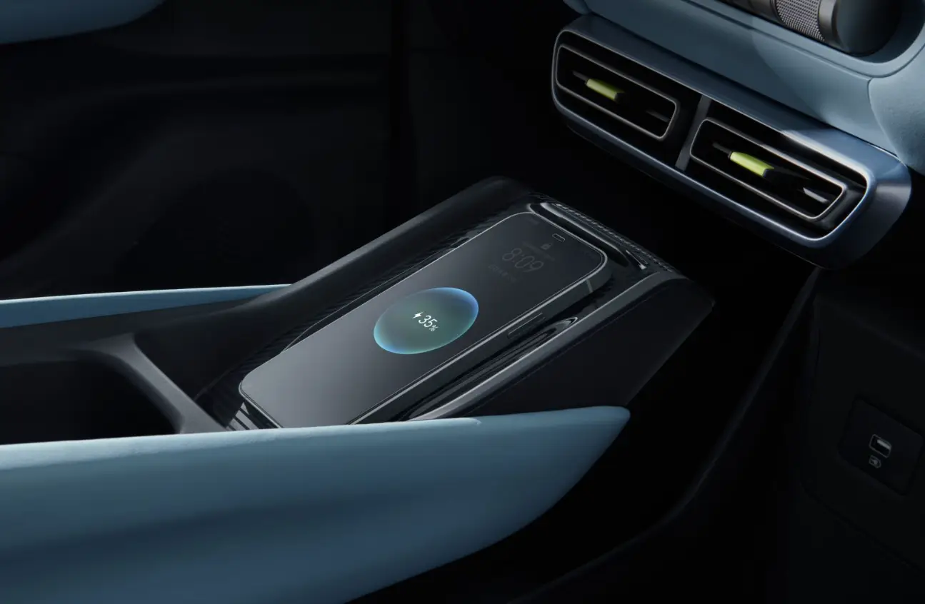 海鸥比亚迪_谈谈比亚迪海鸥的电池技术_海鸥牌的电池图片