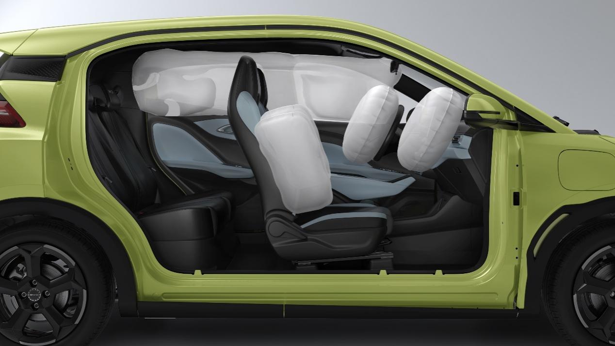 海鸥比亚迪_海鸥牌的电池图片_谈谈比亚迪海鸥的电池技术