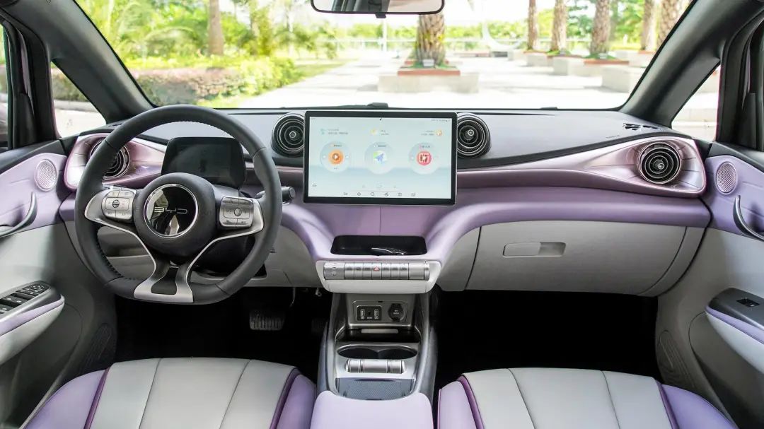 谈谈比亚迪海鸥的电池技术_海鸥比亚迪_海鸥牌的电池图片