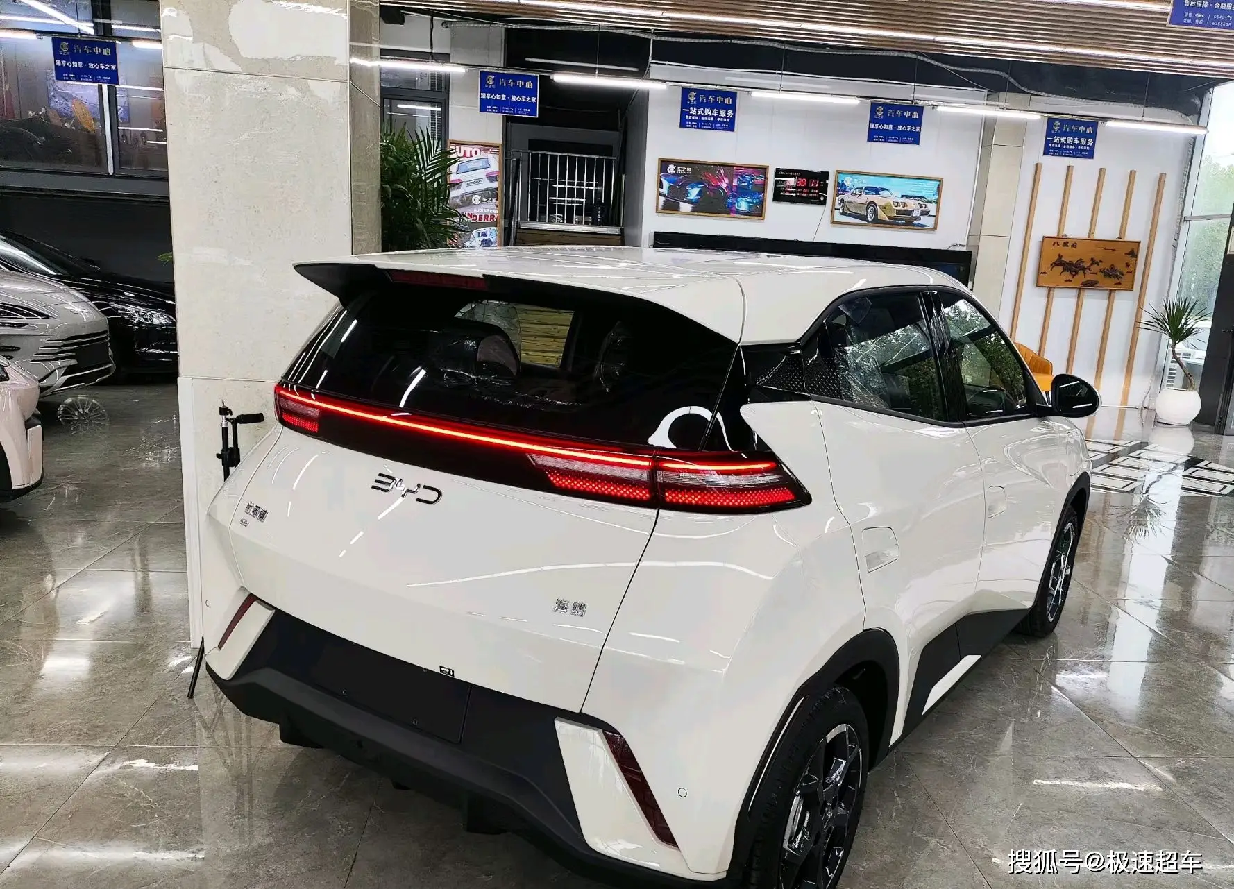 海鸥蓄电池_谈谈比亚迪海鸥的电池技术_海鸥电池有多重