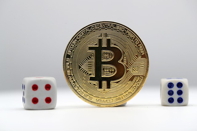 货币的资本化是什么_了解数字货币的资本运作模式_货币数字化是什么意思