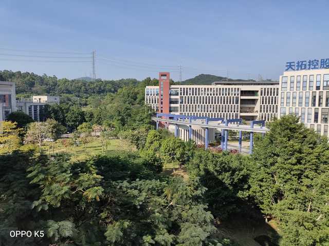 夜景人像拍摄参数设置_评测OPPO的摄像头：夜景与人像拍摄功能_夜景人像镜头