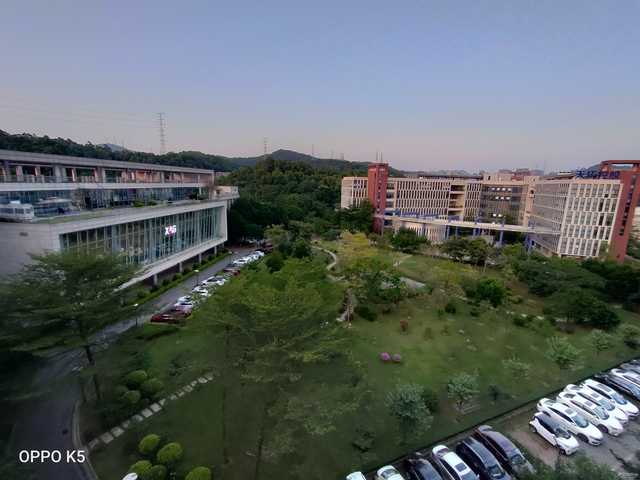 夜景人像拍摄参数设置_评测OPPO的摄像头：夜景与人像拍摄功能_夜景人像镜头