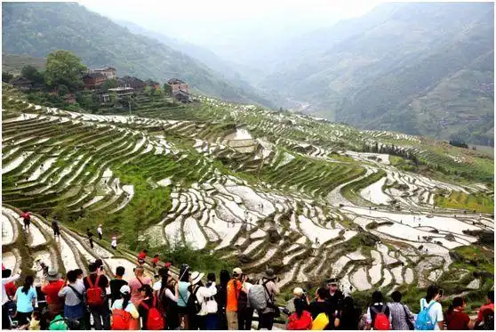 证券开户哪家好_第一证券：_和兴证券和宏信证券