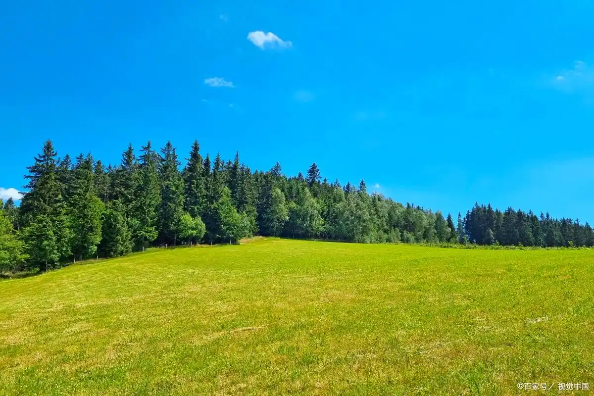 小米使用历史记录_使用小米手机记录生活中的美好瞬间_小米记录使用时间